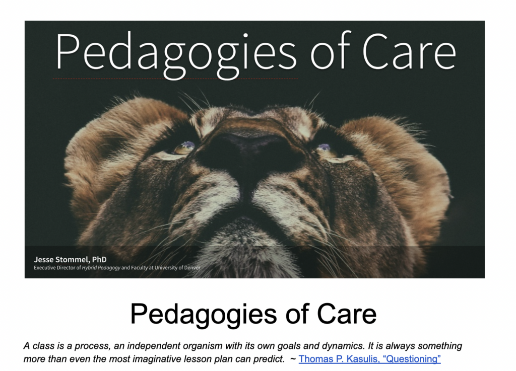 Pedagogies of Care: A class is a process, an independent organism with its own goals and dynamics. It is always something more than even the most imaginative lesson plan can predict.