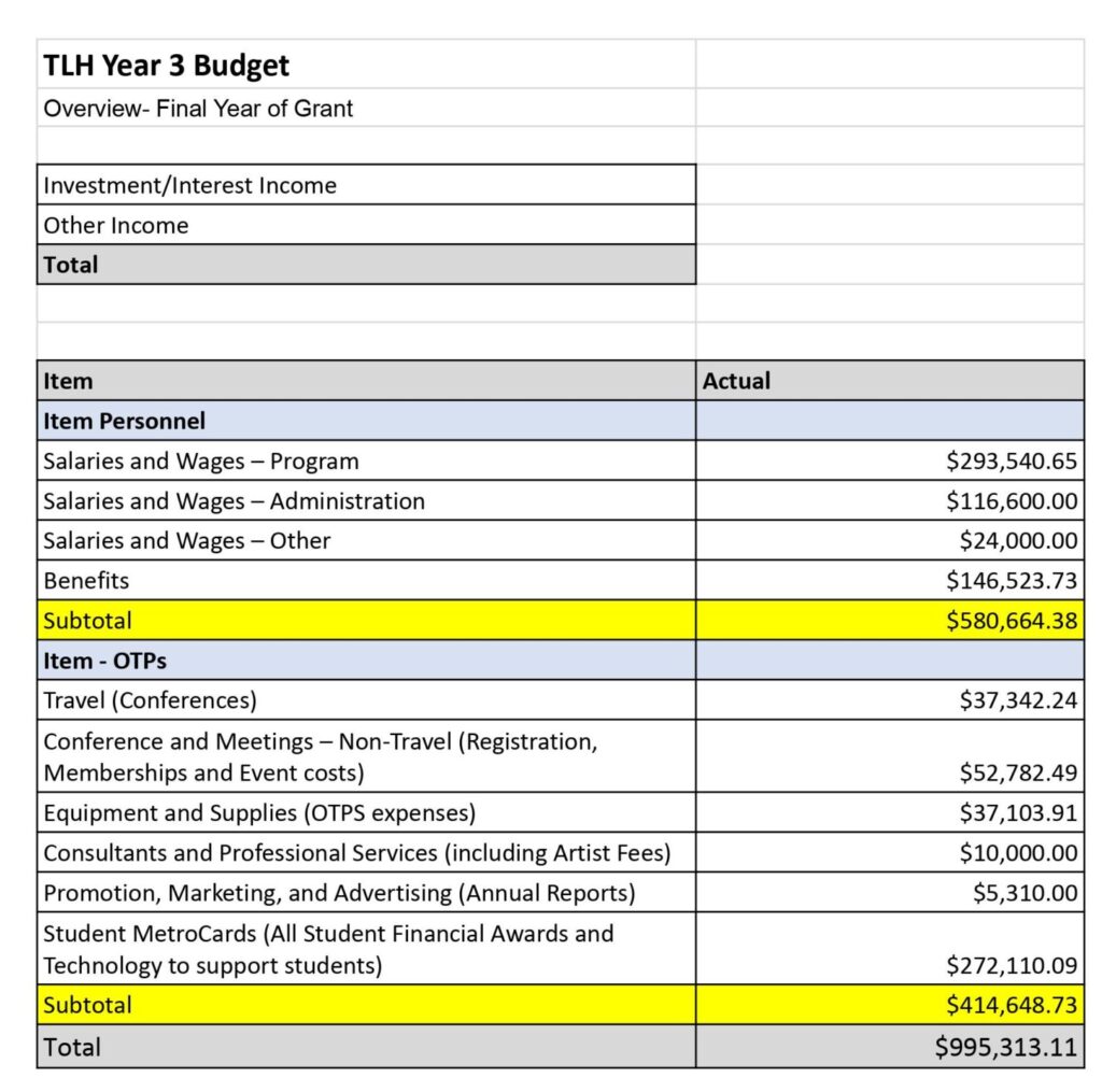 TLH Year 3 Budget 
